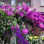 Ulika Апартаменты *
