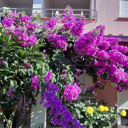 Ulika Appartement *
