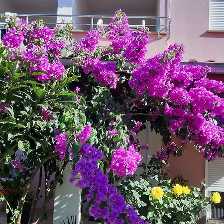 Ulika Apartman Rovinj